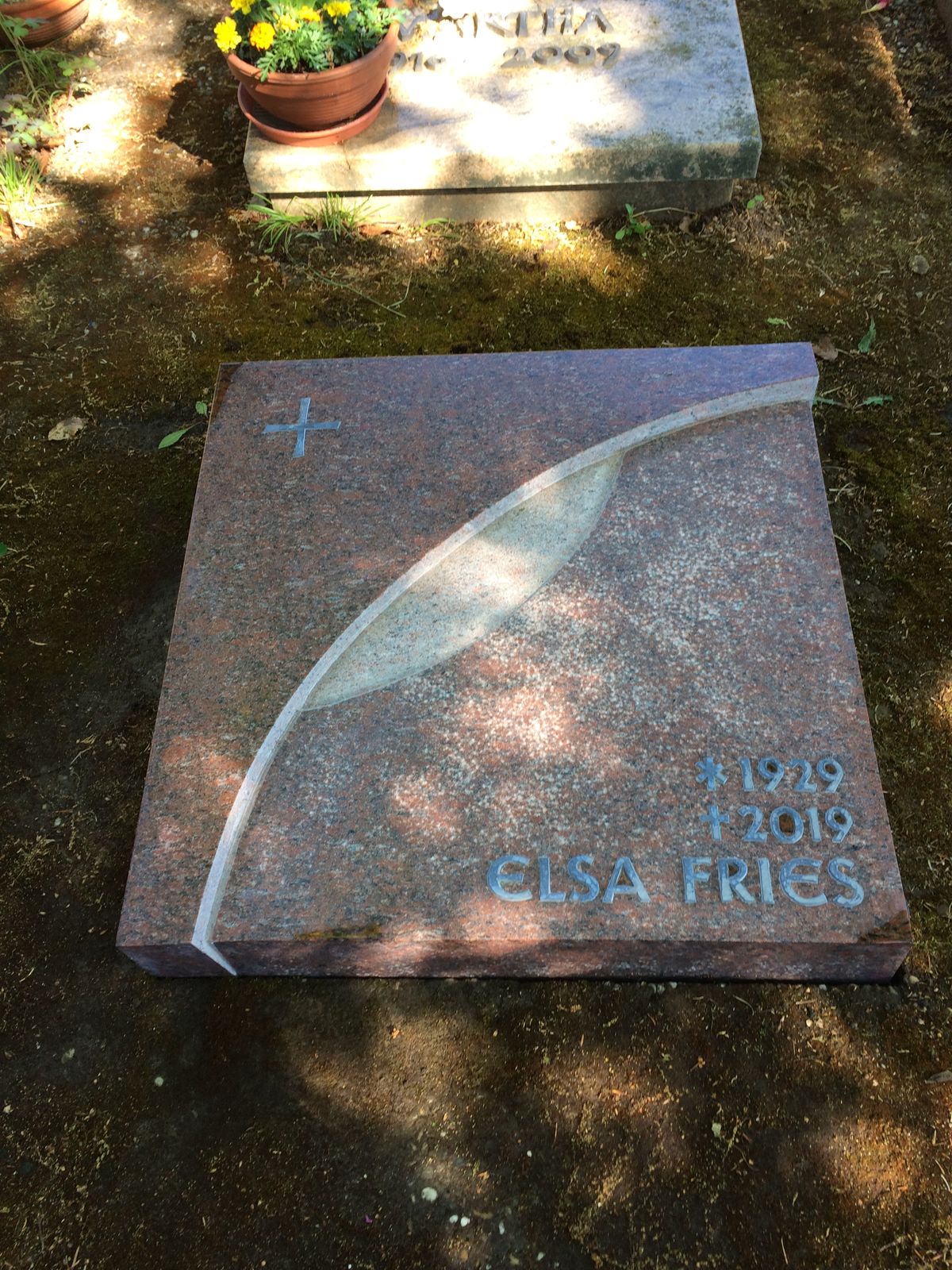frieselsa0001